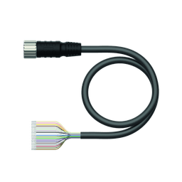 Thumbnail for CKM19-19-40/TXL