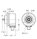 RI-11S10C-2B4096-H1181