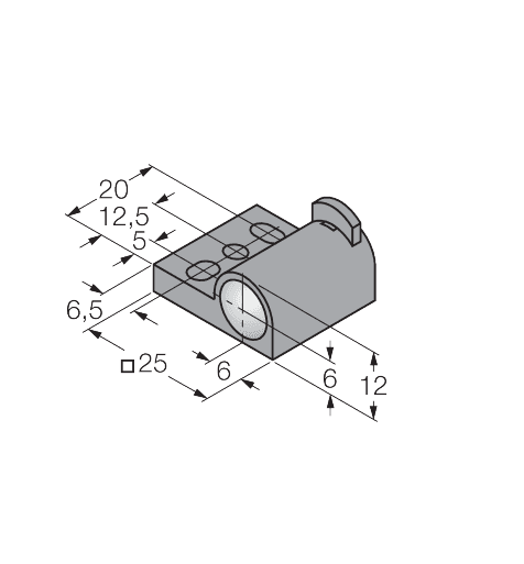 SFI-S1R