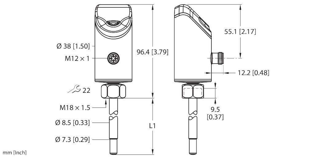FS101-300L-00-2UPN8-H1141