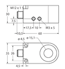 BI15R-W30-DAP6X-H1141/250MS/S204