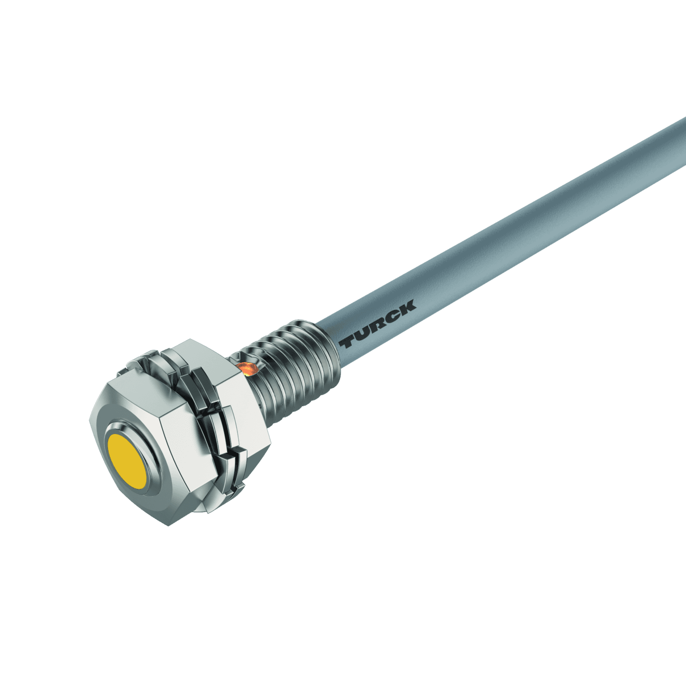 BI1-EG05K-AP6X